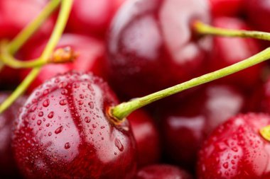 Kiraz arka plan. İzole kiraz. Kırpma yolu ile beyaz arka plan üzerinde izole kiraz meyve. Tatlı beyaz izole kiraz