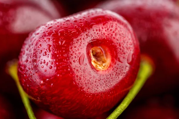 Kiraz arka plan. İzole kiraz. Kırpma yolu ile beyaz arka plan üzerinde izole kiraz meyve. Tatlı beyaz izole kiraz