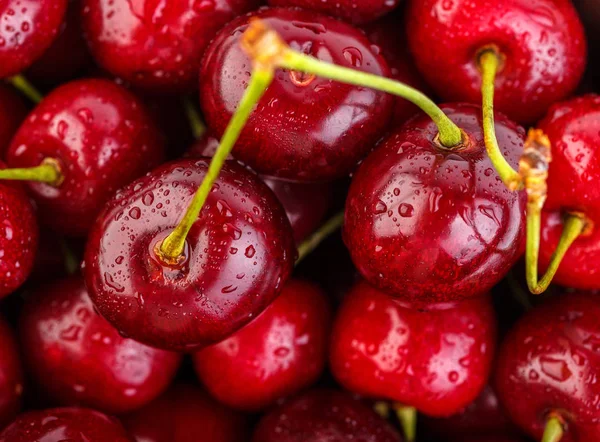 Kiraz arka plan. İzole kiraz. Kırpma yolu ile beyaz arka plan üzerinde izole kiraz meyve. Tatlı beyaz izole kiraz