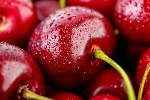 Kiraz arka plan. İzole kiraz. Kırpma yolu ile beyaz arka plan üzerinde izole kiraz meyve. Tatlı beyaz izole kiraz