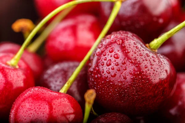 Kiraz arka plan. İzole kiraz. Kırpma yolu ile beyaz arka plan üzerinde izole kiraz meyve. Tatlı beyaz izole kiraz