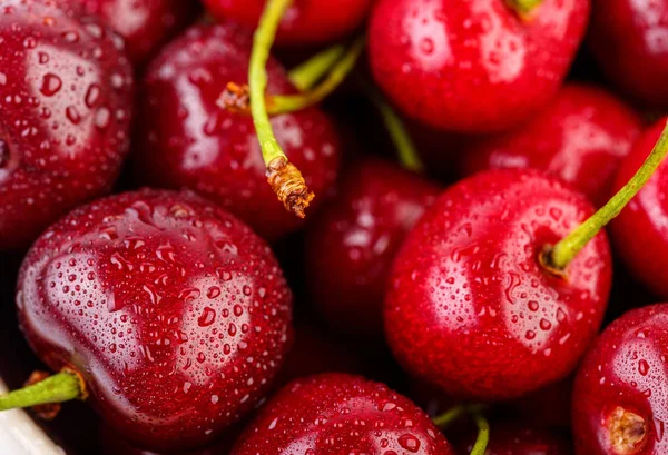 Kiraz arka plan. İzole kiraz. Kırpma yolu ile beyaz arka plan üzerinde izole kiraz meyve. Tatlı beyaz izole kiraz