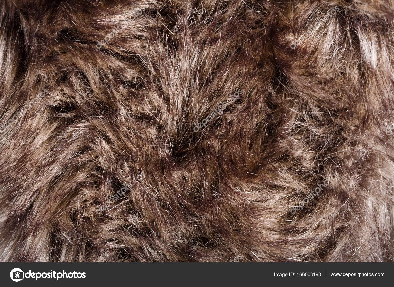 Bear Fur Texture