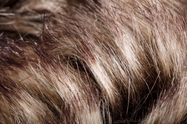 doku kürk. Kızıl kahverengi gri kurt, tilki, ayı kürk doğal, hayvan yaban hayatı kavramı ve arka plan, doku ve duvar kağıdı için stil. Makro Brown kürk