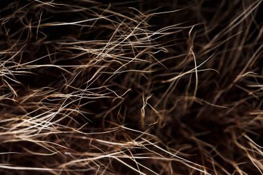 doku kürk. Kızıl kahverengi gri kurt, tilki, ayı kürk doğal, hayvan yaban hayatı kavramı ve arka plan, doku ve duvar kağıdı için stil. Makro Brown kürk
