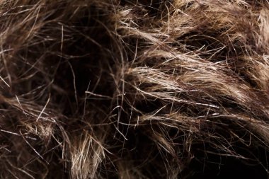 doku kürk. Kızıl kahverengi gri kurt, tilki, ayı kürk doğal, hayvan yaban hayatı kavramı ve arka plan, doku ve duvar kağıdı için stil. Makro Brown kürk