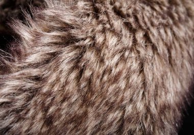 doku kürk. Kızıl kahverengi gri kurt, tilki, ayı kürk doğal, hayvan yaban hayatı kavramı ve arka plan, doku ve duvar kağıdı için stil. Makro Brown kürk