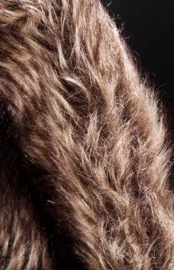 doku kürk. Kızıl kahverengi gri kurt, tilki, ayı kürk doğal, hayvan yaban hayatı kavramı ve arka plan, doku ve duvar kağıdı için stil. Makro Brown kürk