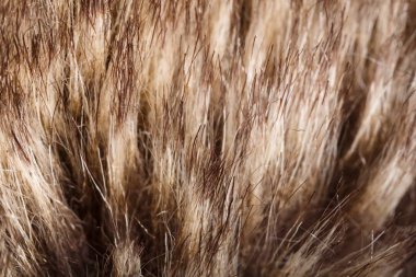 doku kürk. Kızıl kahverengi gri kurt, tilki, ayı kürk doğal, hayvan yaban hayatı kavramı ve arka plan, doku ve duvar kağıdı için stil. Makro Brown kürk