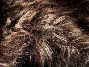 doku kürk. Kızıl kahverengi gri kurt, tilki, ayı kürk doğal, hayvan yaban hayatı kavramı ve arka plan, doku ve duvar kağıdı için stil. Makro Brown kürk