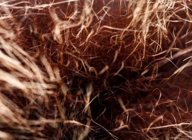 doku kürk. Kızıl kahverengi gri kurt, tilki, ayı kürk doğal, hayvan yaban hayatı kavramı ve arka plan, doku ve duvar kağıdı için stil. Makro Brown kürk