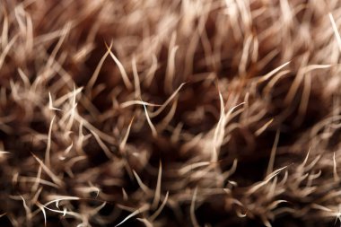 doku kürk. Kızıl kahverengi gri kurt, tilki, ayı kürk doğal, hayvan yaban hayatı kavramı ve arka plan, doku ve duvar kağıdı için stil. Makro Brown kürk