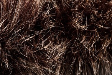 doku kürk. Kızıl kahverengi gri kurt, tilki, ayı kürk doğal, hayvan yaban hayatı kavramı ve arka plan, doku ve duvar kağıdı için stil. Makro Brown kürk