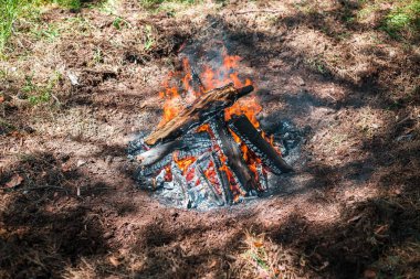 Yangın. Parlak bir alev. Bir esinti niteliğine. Orman yangınları. Sigara kömürlerin dokusuna.