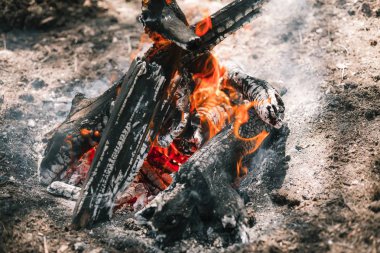 Yangın. Parlak bir alev. Bir esinti niteliğine. Orman yangınları. Sigara kömürlerin dokusuna.