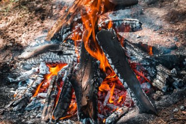 Yangın. Parlak bir alev. Bir esinti niteliğine. Orman yangınları. Sigara kömürlerin dokusuna.