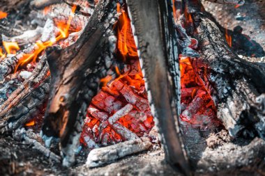 Yangın. Parlak bir alev. Bir esinti niteliğine. Orman yangınları. Sigara kömürlerin dokusuna.