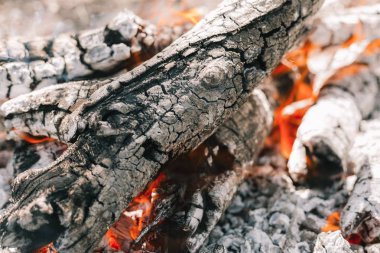 Yangın. Parlak bir alev. Bir esinti niteliğine. Orman yangınları. Sigara kömürlerin dokusuna.