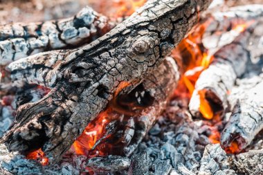 Yangın. Parlak bir alev. Bir esinti niteliğine. Orman yangınları. Sigara kömürlerin dokusuna.
