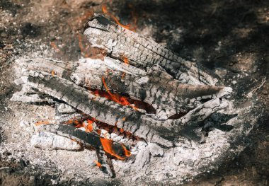 Yangın. Parlak bir alev. Bir esinti niteliğine. Orman yangınları. Sigara kömürlerin dokusuna.