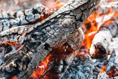 Yangın. Parlak bir alev. Bir esinti niteliğine. Orman yangınları. Sigara kömürlerin dokusuna.