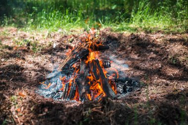 Yangın. Parlak bir alev. Bir esinti niteliğine. Orman yangınları. Sigara kömürlerin dokusuna.