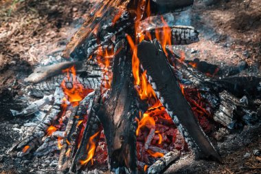 Yangın. Parlak bir alev. Bir esinti niteliğine. Orman yangınları. Sigara kömürlerin dokusuna.