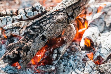 Yangın. Parlak bir alev. Bir esinti niteliğine. Orman yangınları. Sigara kömürlerin dokusuna.