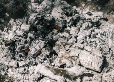 Yangın. Parlak bir alev. Bir esinti niteliğine. Orman yangınları. Sigara kömürlerin dokusuna.