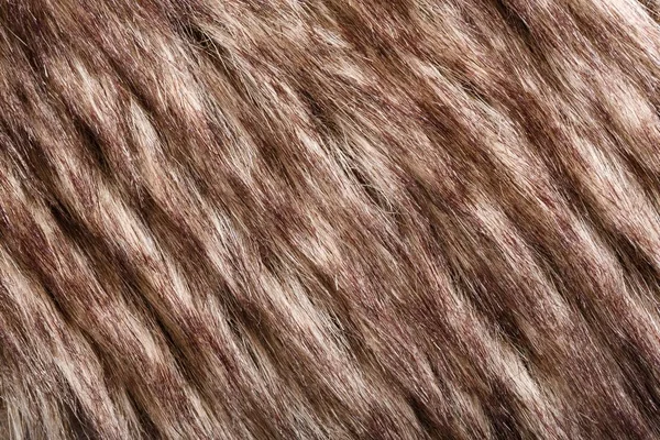 doku kürk. Kızıl kahverengi gri kurt, tilki, ayı kürk doğal, hayvan yaban hayatı kavramı ve arka plan, doku ve duvar kağıdı için stil. Makro Brown kürk