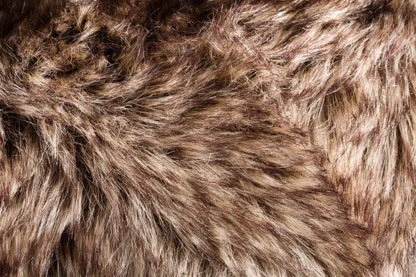 Textura Pele Red Brown Grey Wolf Fox Bear Fur Natural — Fotografia de Stock