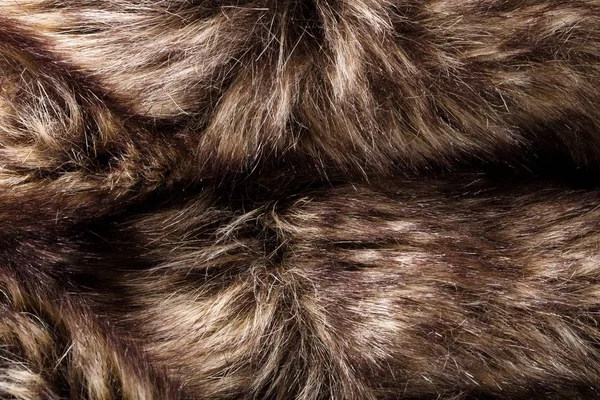 Textura Pele Red Brown Grey Wolf Fox Bear Fur Natural — Fotografia de Stock