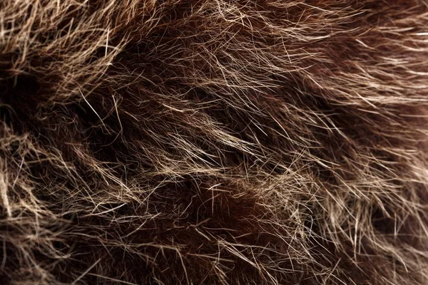 doku kürk. Kızıl kahverengi gri kurt, tilki, ayı kürk doğal, hayvan yaban hayatı kavramı ve arka plan, doku ve duvar kağıdı için stil. Makro Brown kürk