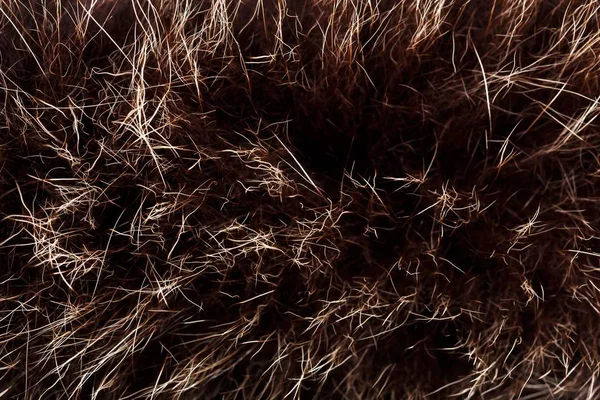 doku kürk. Kızıl kahverengi gri kurt, tilki, ayı kürk doğal, hayvan yaban hayatı kavramı ve arka plan, doku ve duvar kağıdı için stil. Makro Brown kürk