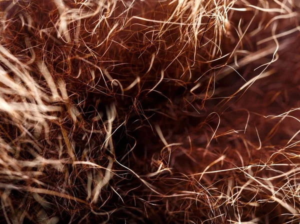 doku kürk. Kızıl kahverengi gri kurt, tilki, ayı kürk doğal, hayvan yaban hayatı kavramı ve arka plan, doku ve duvar kağıdı için stil. Makro Brown kürk
