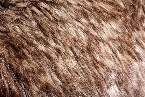 Textura de pele. Red Brown Grey Wolf, Fox, Bear Fur Natural, Animal Wildlife Concept and Style for Background, texturas e papel de parede. Peles de Macro Brown — Fotografia de Stock