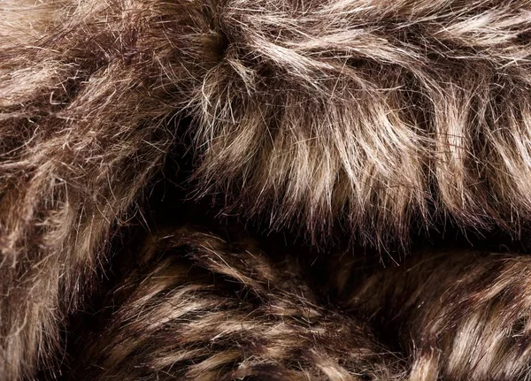 doku kürk. Kızıl kahverengi gri kurt, tilki, ayı kürk doğal, hayvan yaban hayatı kavramı ve arka plan, doku ve duvar kağıdı için stil. Makro Brown kürk