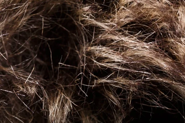 doku kürk. Kızıl kahverengi gri kurt, tilki, ayı kürk doğal, hayvan yaban hayatı kavramı ve arka plan, doku ve duvar kağıdı için stil. Makro Brown kürk