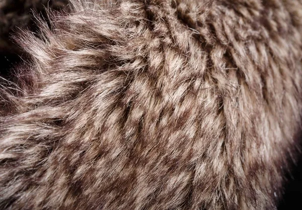 doku kürk. Kızıl kahverengi gri kurt, tilki, ayı kürk doğal, hayvan yaban hayatı kavramı ve arka plan, doku ve duvar kağıdı için stil. Makro Brown kürk