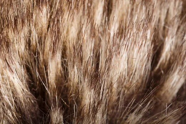 doku kürk. Kızıl kahverengi gri kurt, tilki, ayı kürk doğal, hayvan yaban hayatı kavramı ve arka plan, doku ve duvar kağıdı için stil. Makro Brown kürk