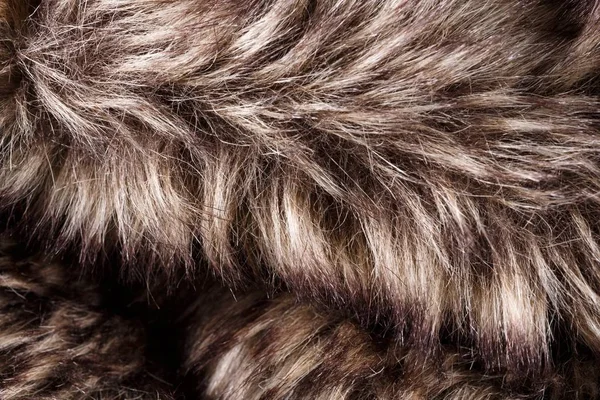 毛皮的纹理 红棕色灰太狼 熊皮毛自然 动物野生动物概念和背景 纹理和壁纸的风格 宏棕色毛皮 — 图库照片
