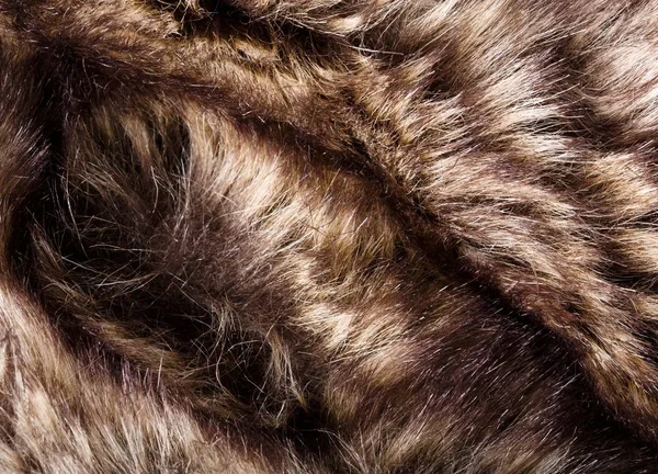 doku kürk. Kızıl kahverengi gri kurt, tilki, ayı kürk doğal, hayvan yaban hayatı kavramı ve arka plan, doku ve duvar kağıdı için stil. Makro Brown kürk