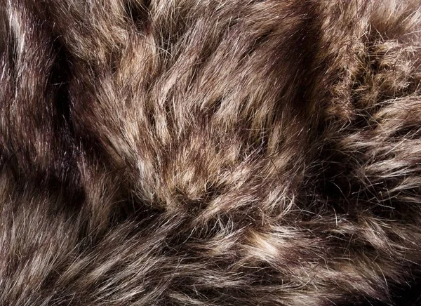 doku kürk. Kızıl kahverengi gri kurt, tilki, ayı kürk doğal, hayvan yaban hayatı kavramı ve arka plan, doku ve duvar kağıdı için stil. Makro Brown kürk
