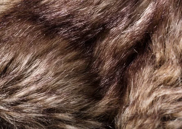 Struttura Pelo Red Brown Grey Wolf Fox Bear Fur Natural — Foto Stock