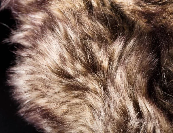 doku kürk. Kızıl kahverengi gri kurt, tilki, ayı kürk doğal, hayvan yaban hayatı kavramı ve arka plan, doku ve duvar kağıdı için stil. Makro Brown kürk
