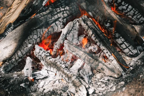 Yangın. Parlak bir alev. Bir esinti niteliğine. Orman yangınları. Sigara kömürlerin dokusuna.