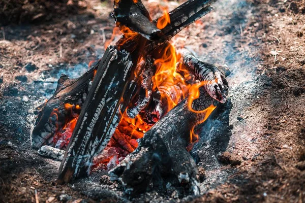 Yangın. Parlak bir alev. Bir esinti niteliğine. Orman yangınları. Sigara kömürlerin dokusuna.