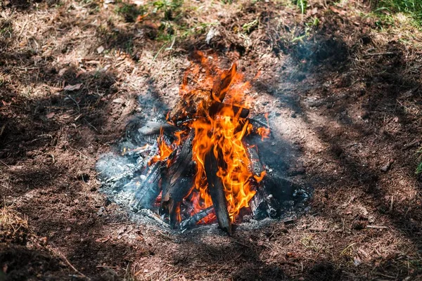 Yangın. Parlak bir alev. Bir esinti niteliğine. Orman yangınları. Sigara kömürlerin dokusuna.