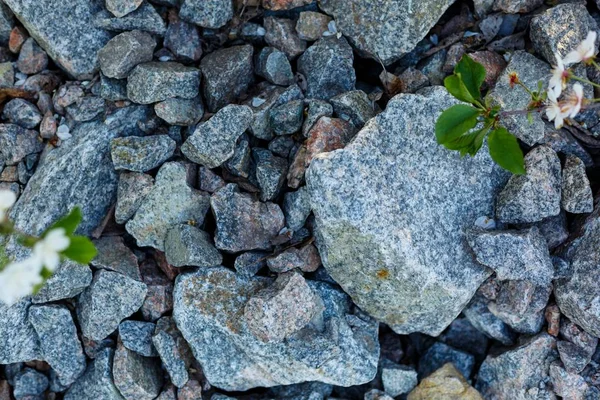Granit çakıl doku. İnşaat malzemeleri. çakıl, ezilmiş taş, taş. gri granit çakıl arka plan karışım beton İnşaat endüstri için yukarıya kapatmak