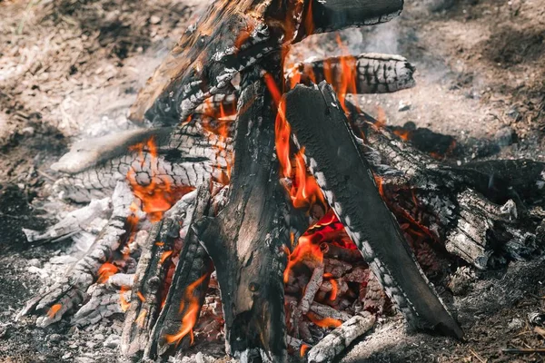 Yangın. Parlak bir alev. Bir esinti niteliğine. Orman yangınları. Sigara kömürlerin dokusuna.